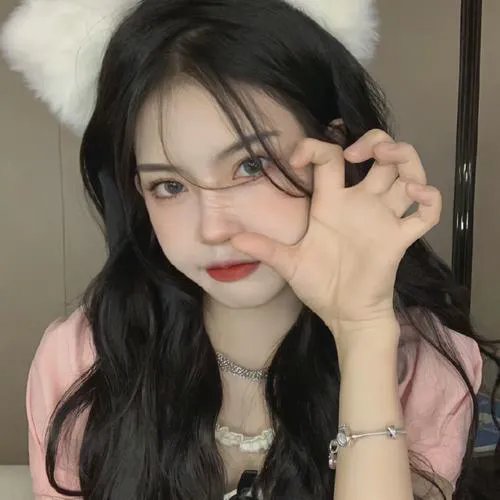 猎豹出击